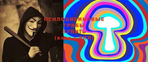 дмт Арсеньев