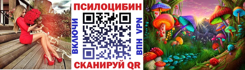 Псилоцибиновые грибы мицелий  Цимлянск 